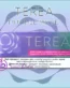 IQOS TEREA Purple Wave