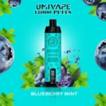 Umivape-U-Bar-18000-Puffs-Disposable-Vape-Blueberry-Mint