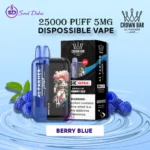 AL FAKHER Ultra 25000 Puffs 5MG Disposable Vape in Dubai – Premium Blue Berry Blue