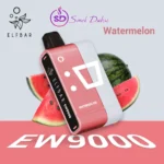 ELFBAR EW9000 Prefilled Pod Kit watermelon