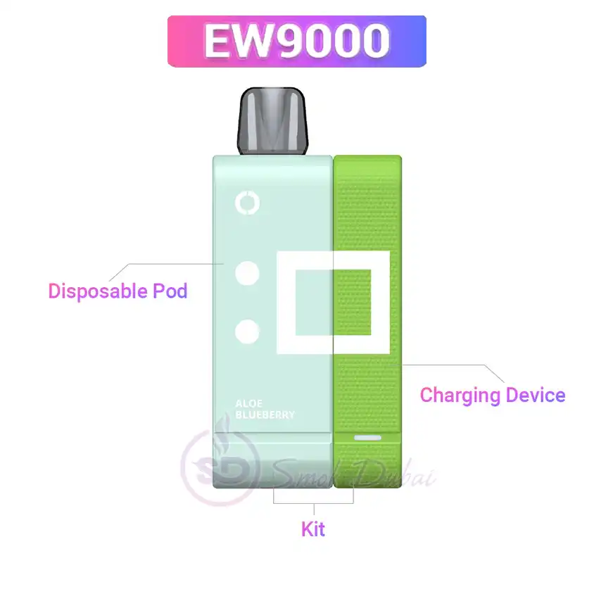 ELFBAR_EW9000_independent_use