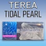 IQOS Terea Tidal Pearl HeatSticks for IQOS ILUMA – Minty Tea & Woody Flavor