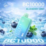 ELFBAR BC 10000 Puffs 20mg Disposable Vape Blueberry Mint