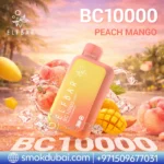 ELFBAR BC 10000 Puffs 20mg Disposable Vape Peach Mango