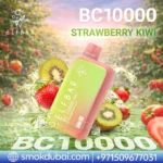 ELFBAR BC 10000 Puffs 20mg Disposable Vape Strawberry Kiwi