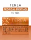 IQOS TEREA Japan Tropical Menthol